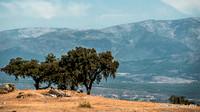Madrid, Tolède, Séville et Cordoue