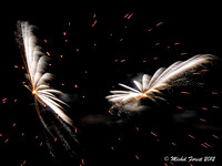 Feux d'artifice