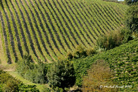 La Toscane
