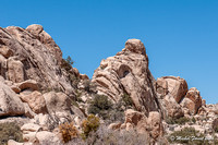 Joshua National Park
