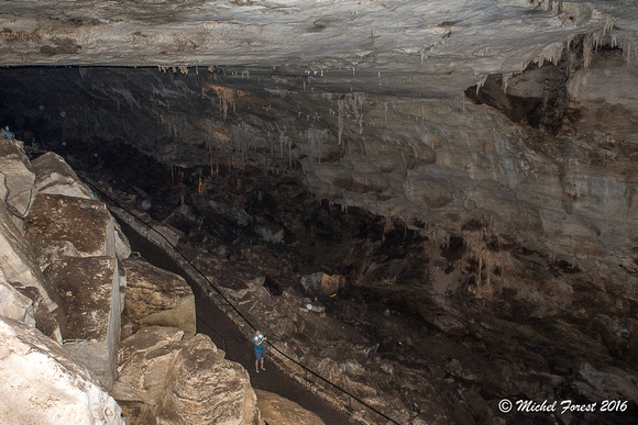 Les cavernes de Carlsbad