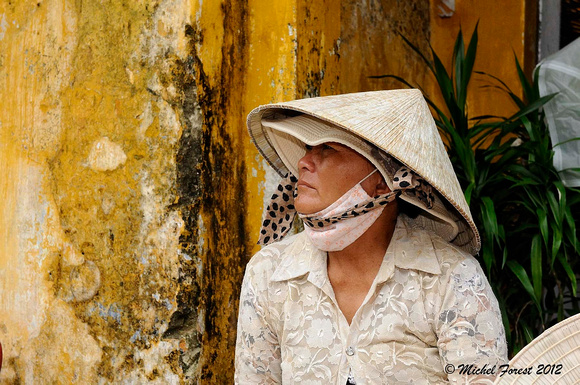 Visage du Vietnam