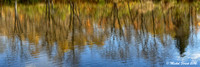 Chaleur d'automne