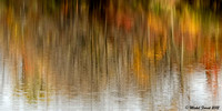 Chaleur d'automne