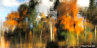 Chaleur d'automne