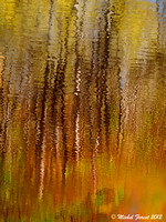 Chaleur d'automne