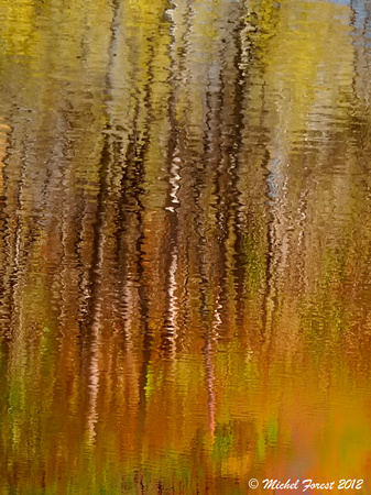 Chaleur d'automne