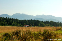 Les Monts Olympic