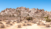 Joshua National Park