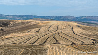 Vers Volubilis à travers la fenêtre du bus