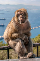 Gibraltar