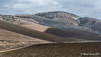 Vers Volubilis à travers la fenêtre du bus