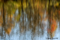 Chaleur d'automne