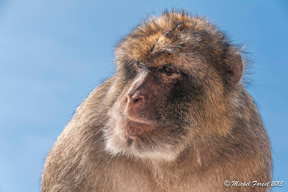 Gibraltar